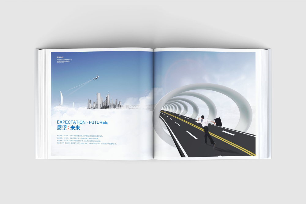 月湖区画册设计